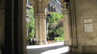 rathaus in